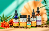 Showcasing Muha Meds terpene-rich CBD products, highlighting their unique texture and vibrant packaging for better health.