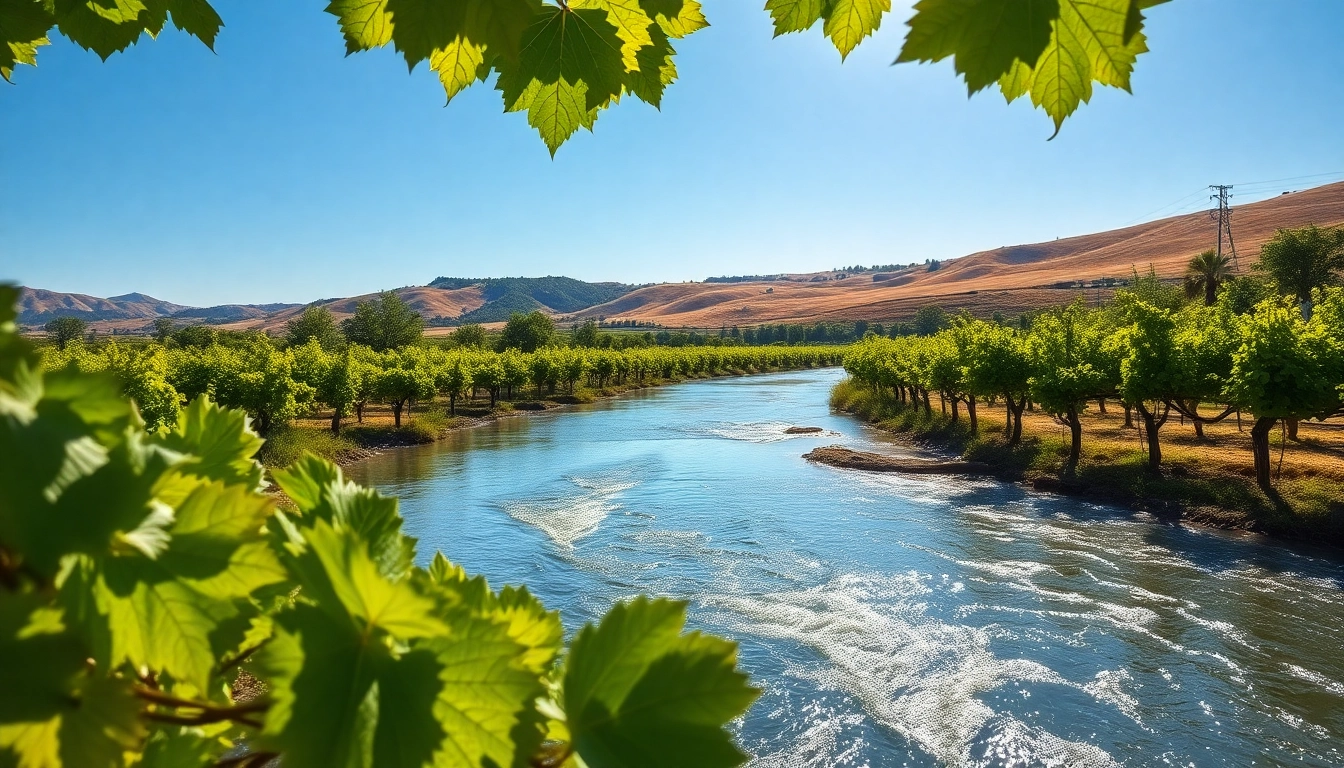Experience the beauty of Clarksburg CA with scenic vineyards and flowing river views.